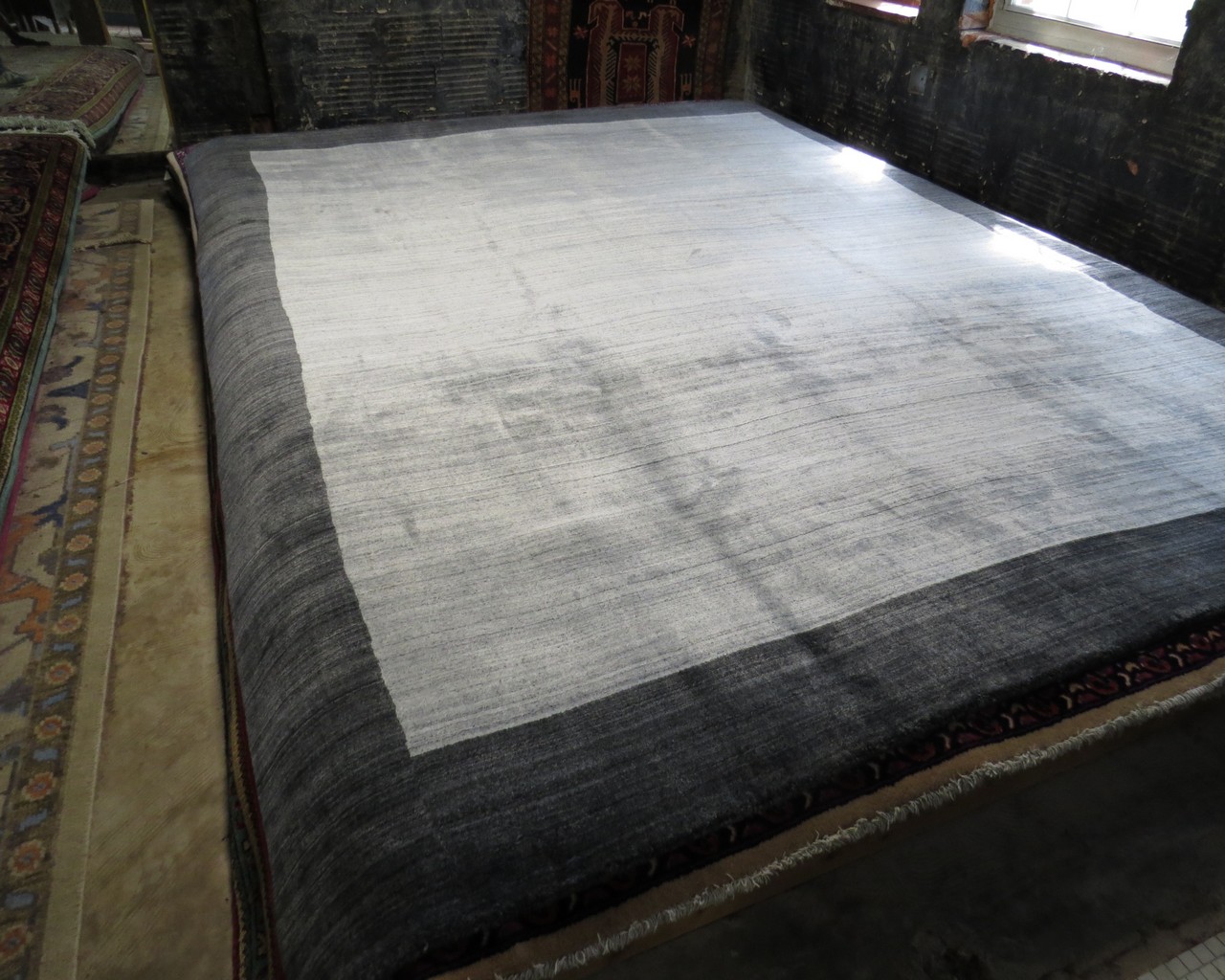 modern carpets baltimore